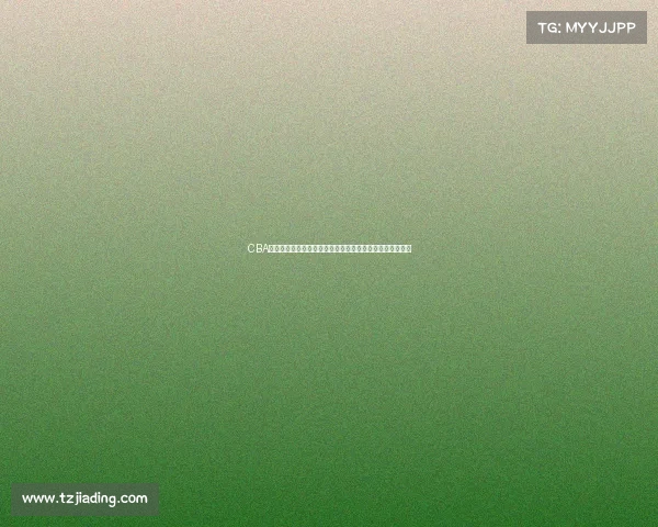 CBA赛季数据全解析：球员表现、球队排名及关键统计指标详解