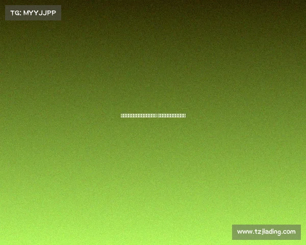 若昂马里奥谈加盟尤文自豪之情 并盛赞洛卡特利视野出色